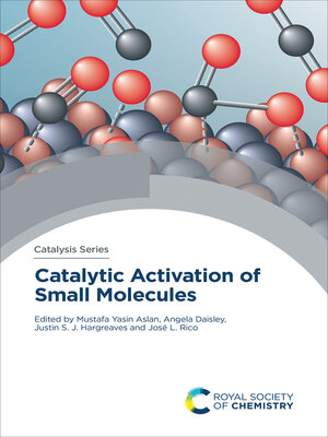 cover image of Catalytic Activation of Small Molecules